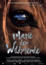 Magie der Wildpferde