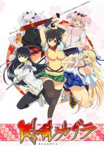 Senran Kagura: Ninja Flash!