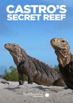 Castros Secret Reef