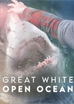 Great White Open Ocean