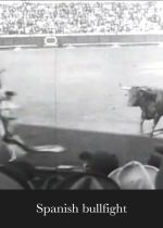 Spanish Bullfight