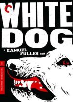 White Dog