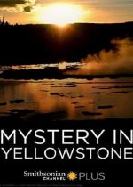 Mystery in Yellowstone