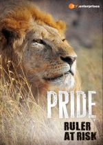 Pride - Rulers at Risk