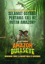 Amazon Bullseye