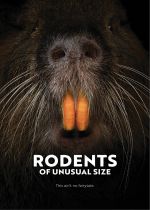 Rodents of Unusual Size