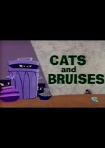 Cats and Bruises