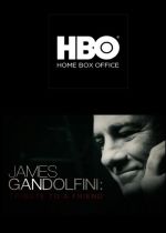 James Gandolfini: Tribute to a Friend (TV Movie 2013)