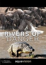 Rivers of Danger