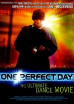 One Perfect Day