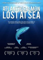 Atlantic Salmon: Lost at Sea