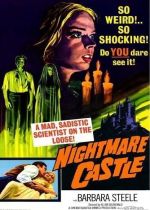 Nightmare Castle