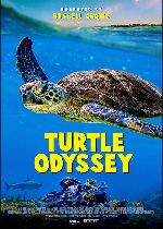 Turtle Odyssey