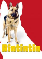 Finding Rin Tin Tin