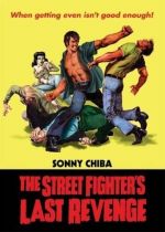 The Streetfighters Last Revenge