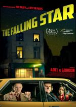 The Falling Star (L'étoile filante)