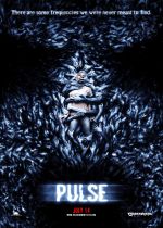 Pulse