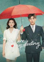 You Are My Destiny (Ni shi wo de ming zhong zhu ding)