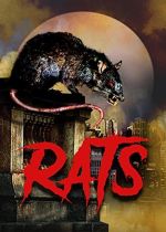 Killer Rats