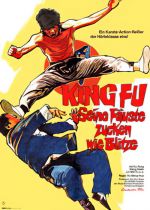 The Master of Kung Fu