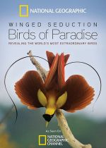 Winged Seduction: Birds of Paradise