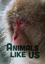 Animals Like Us