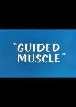 Guided Muscle