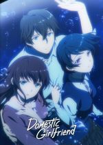 Domestic na Kanojo (Domestic Girlfriend)