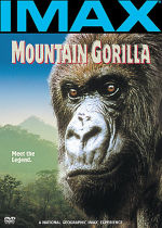 Mountain Gorilla