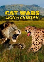 Cat Wars: Lion Vs. Cheetah