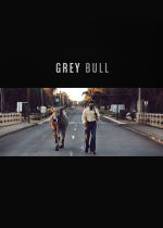 Grey Bull