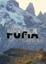 Into the Puma Triangle