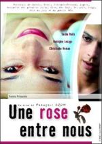 Une rose entre nous