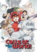 Cells at Work! (Hataraku Saibou)