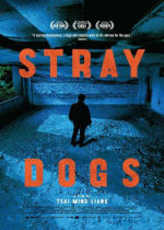 Stray Dogs