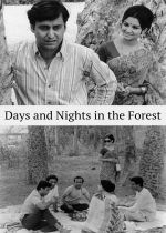 Days and Nights in the Forest