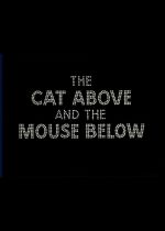 The Cat Above and the Mouse Below