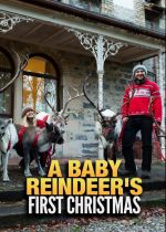 A Baby Reindeers First Christmas