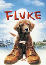 Fluke