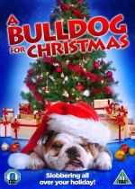 A Bulldog for Christmas