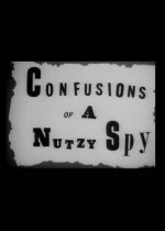 Confusions of a Nutzy Spy