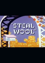 Steal Wool