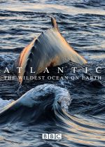 Atlantic: The Wildest Ocean on Earth