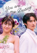 Unmei Kara Hajimaru Koi: You Are My Destiny