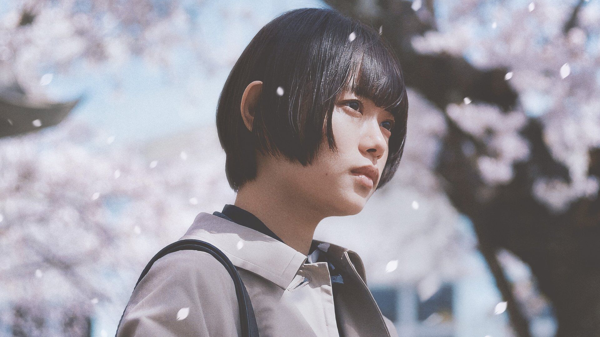 Sakura