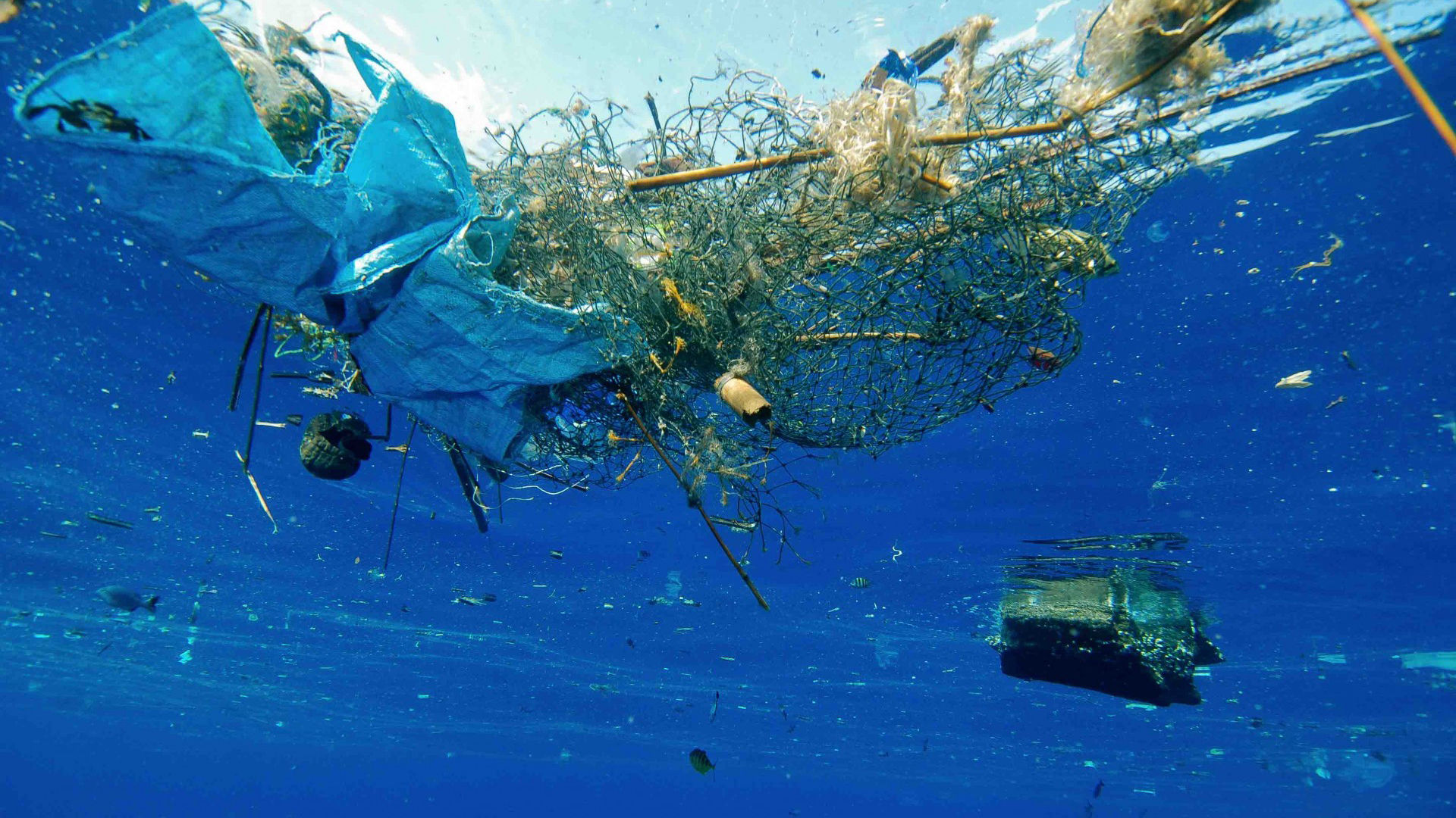 A Plastic Ocean
