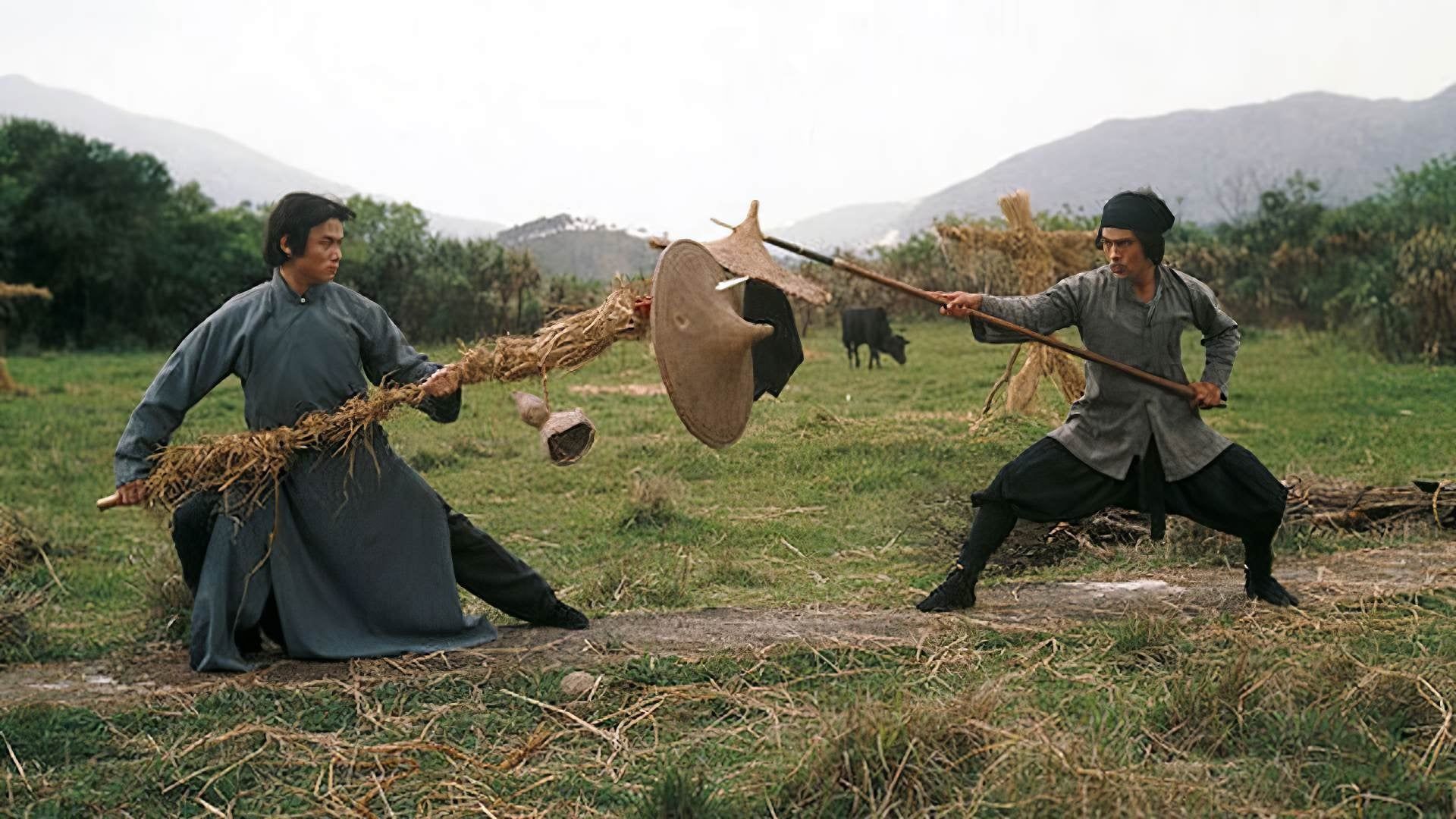 Shaolin Challenges Ninja