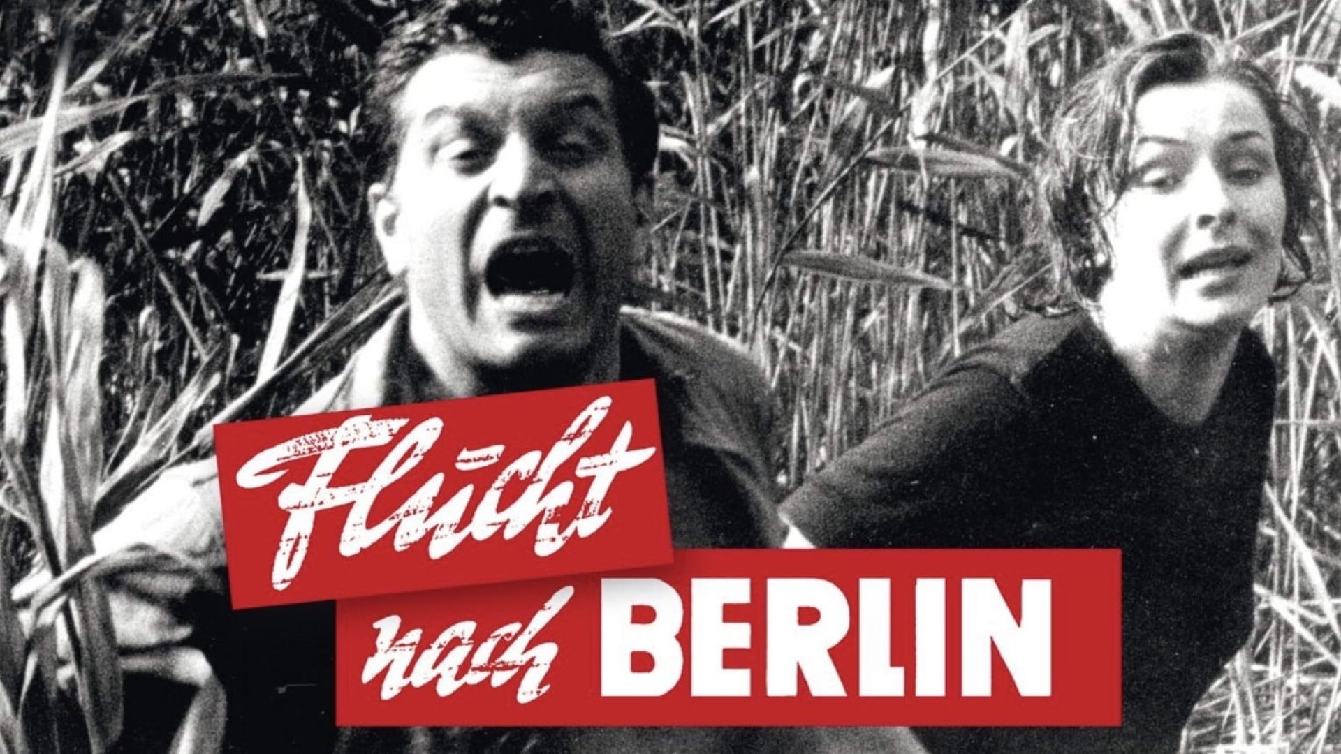 Escape to Berlin