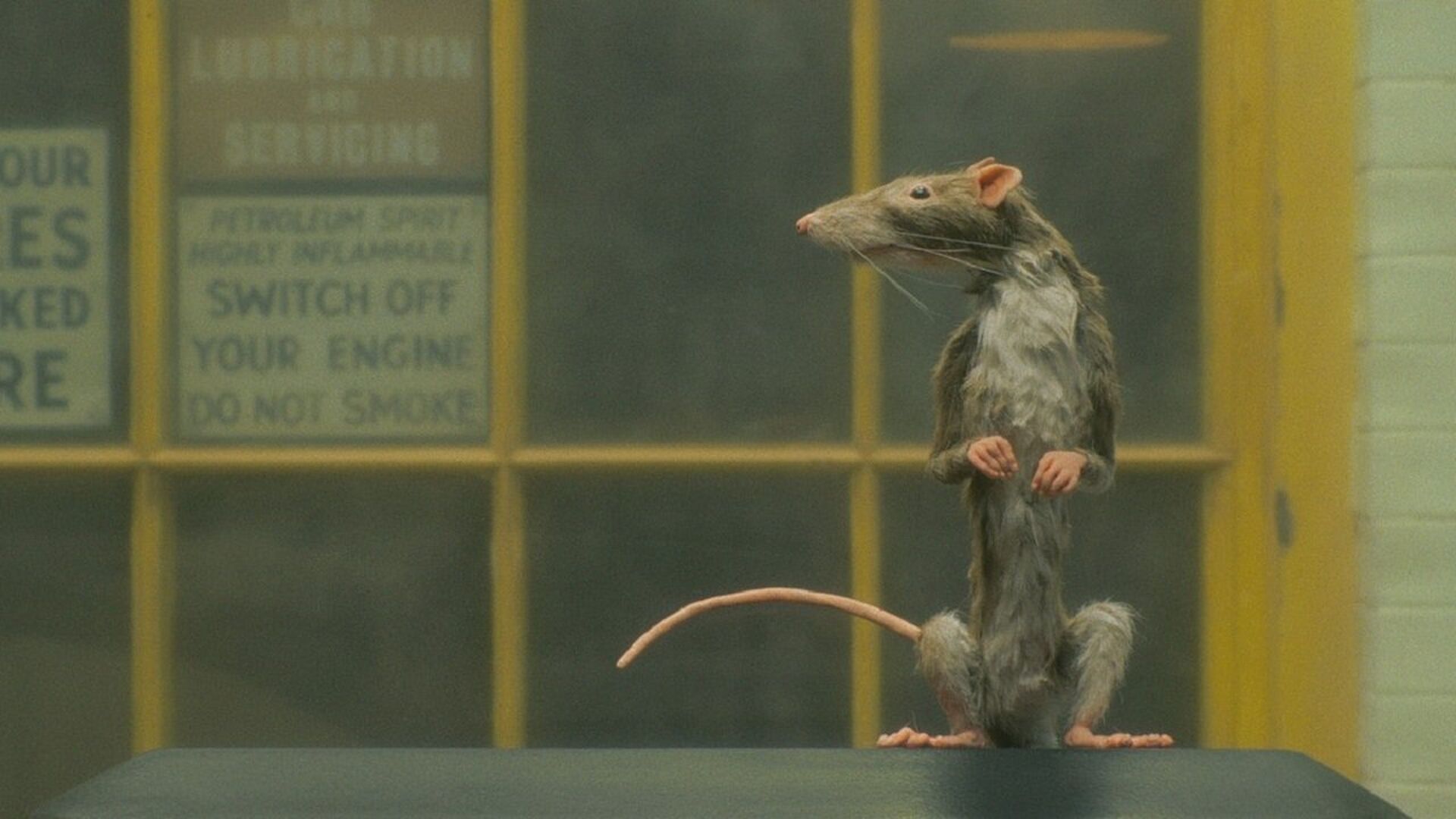 The Ratcatcher