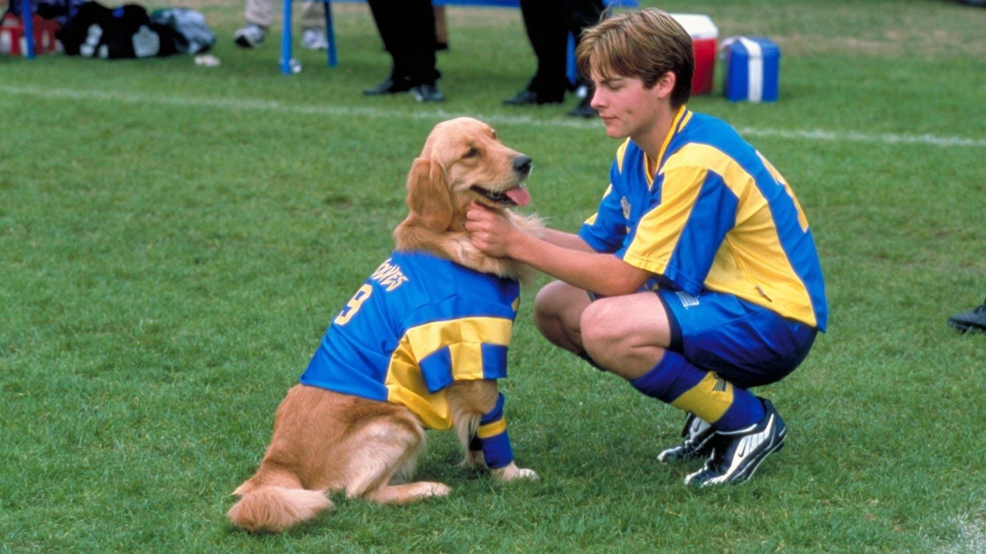 Air Bud: World Pup (Air Bud 3: World Pup)